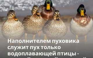 Как выбрать пуховик, особенности тканей и наполнителей