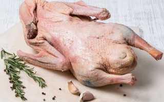 Хранение гусиного мяса в холодильнике в домашних условиях