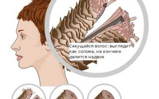 Как самостоятельно подстричь секущиеся кончики волос