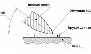 Кухонные ножи: как выбрать угол заточки