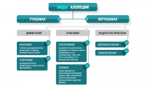 Виды алопеции
