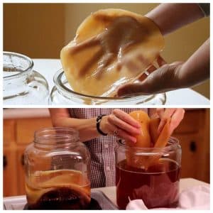 Способы хранения чайного гриба до лета если он не используется