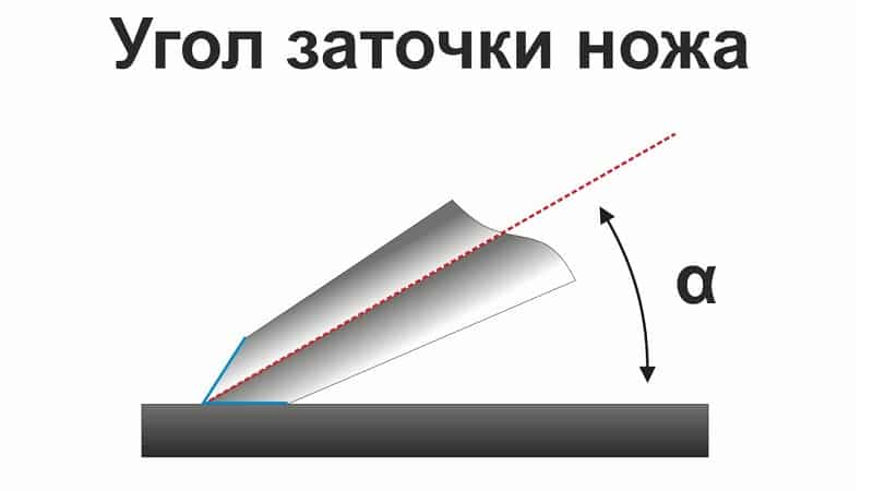 Как выбрать точилку для кухонного ножа