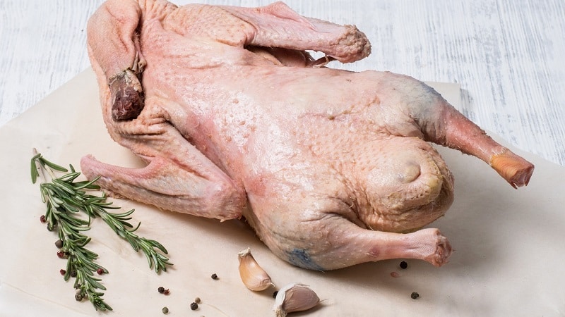 Хранение гусиного мяса в холодильнике в домашних условиях