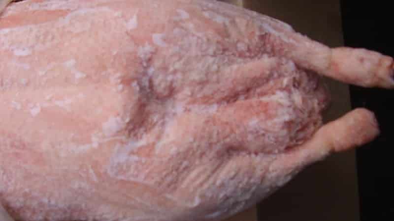 Хранение гусиного мяса в холодильнике в домашних условиях