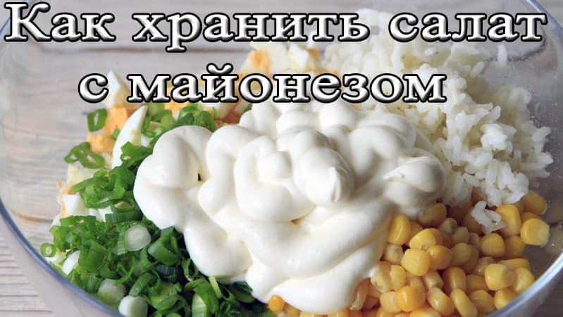 Хранение салата с майонезом в холодильной камере — сроки