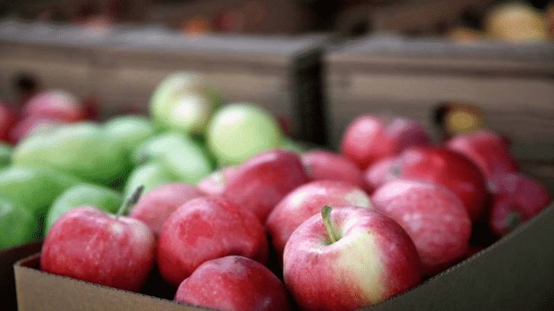 Как хранить зимой яблоки свежими в домашних условиях