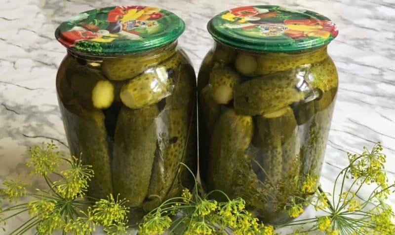 Условия хранения соленых огурцов