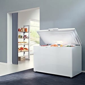 Как выбрать лучшую среди продающихся морозильных камер