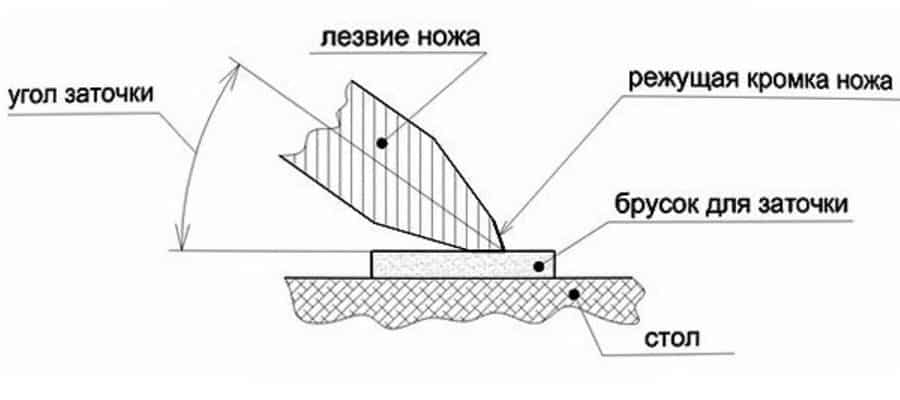 Кухонные ножи: как выбрать угол заточки
