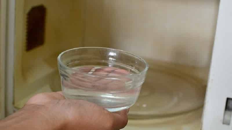 Можно ли вскипятить воду в микроволновой печи