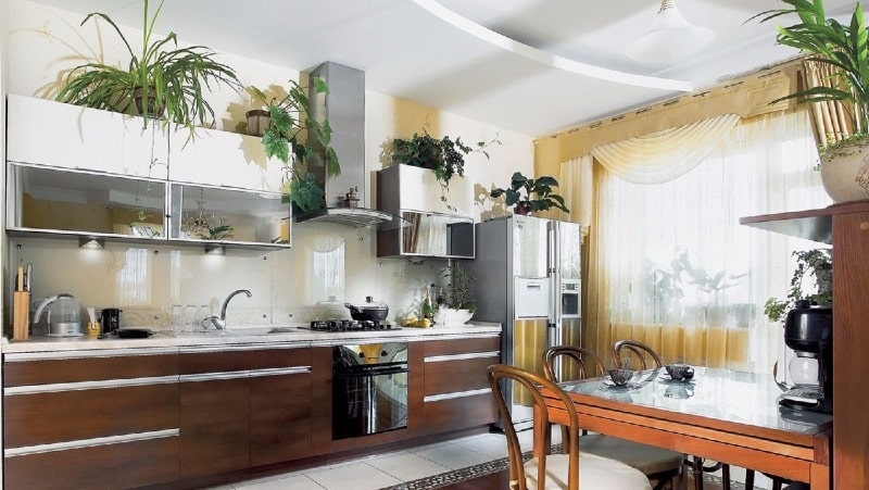 Неприхотливые растения и цветы для кухни