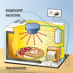 Почему нельзя включать пустую микроволновую печь