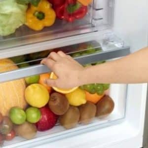 Условия и сроки хранения киви в домашних условиях